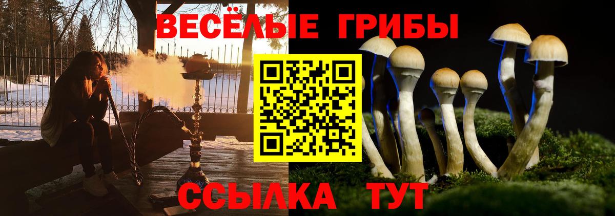 Галлюциногенные грибы MAGIC MUSHROOMS Краснознаменск